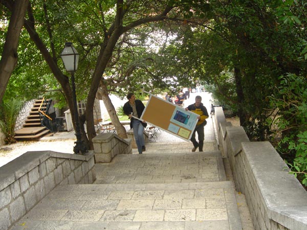 DSC01262